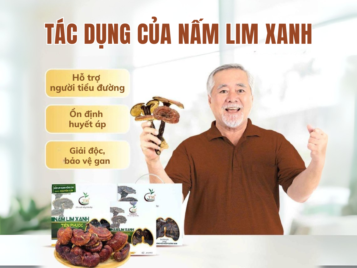 Bật m&iacute; một số b&agrave;i thuốc từ nấm Lim Xanh hỗ trợ chữa bệnh hiệu quả